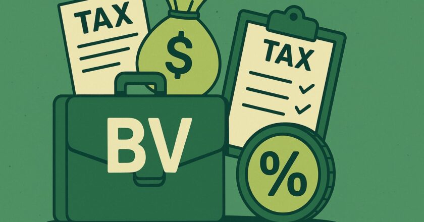 Belasting bv: alles wat je moet weten over de fiscale spelregels